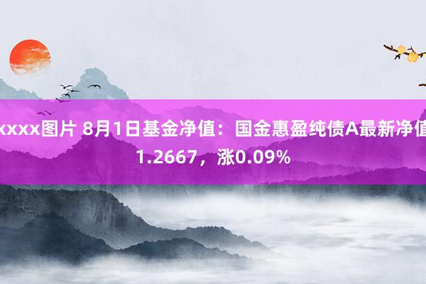 xxxx图片 8月1日基金净值：国金惠盈纯债A最新净值1.2667，涨0.09%