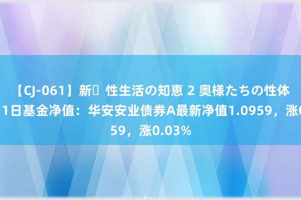 【CJ-061】新・性生活の知恵 2 奥様たちの性体験 8月1日基金净值：华安安业债券A最新净值1.0959，涨0.03%