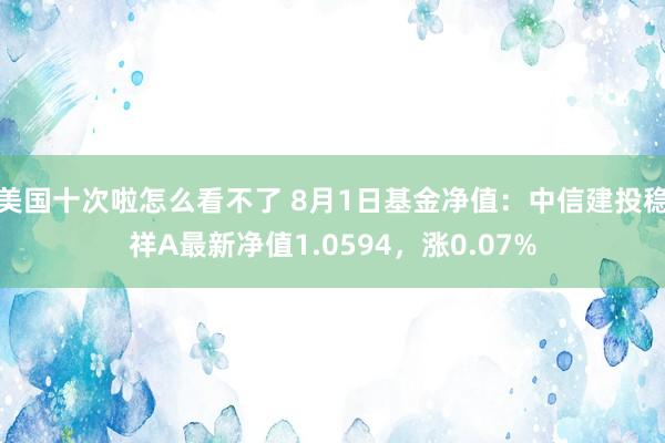 美国十次啦怎么看不了 8月1日基金净值：中信建投稳祥A最新净值1.0594，涨0.07%