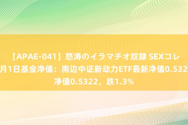 【APAE-041】怒涛のイラマチオ奴隷 SEXコレクション 8月1日基金净值：南边中证新动力ETF最新净值0.5322，跌1.3%