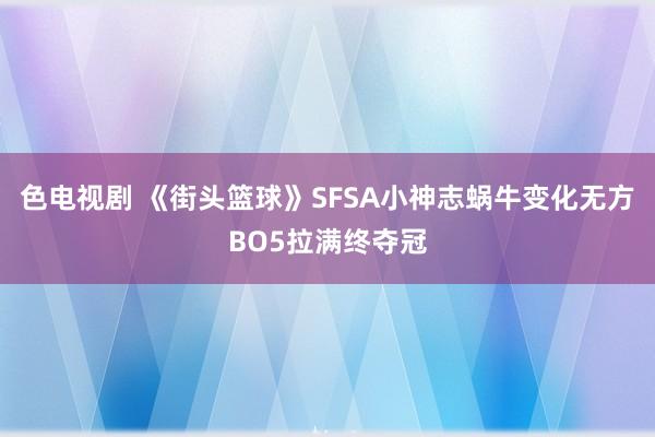 色电视剧 《街头篮球》SFSA小神志蜗牛变化无方BO5拉满终夺冠