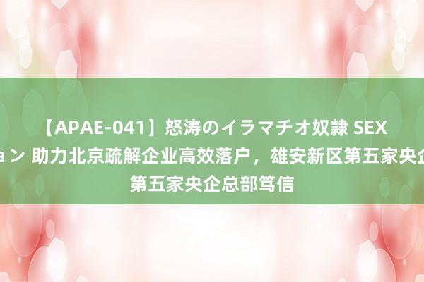 【APAE-041】怒涛のイラマチオ奴隷 SEXコレクション 助力北京疏解企业高效落户，雄安新区第五家央企总部笃信