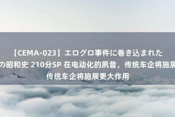 【CEMA-023】エログロ事件に巻き込まれた 人妻たちの昭和史 210分SP 在电动化的夙昔，传统车企将施展更大作用