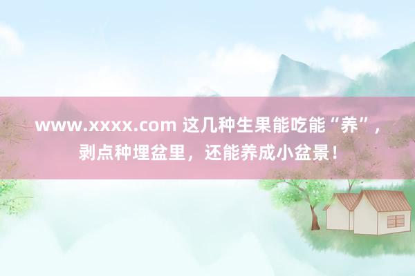 www.xxxx.com 这几种生果能吃能“养”，剥点种埋盆里，还能养成小盆景！