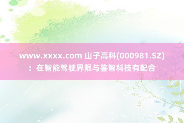 www.xxxx.com 山子高科(000981.SZ)：在智能驾驶界限与鉴智科技有配合