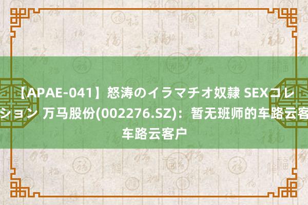 【APAE-041】怒涛のイラマチオ奴隷 SEXコレクション 万马股份(002276.SZ)：暂无班师的车路云客户