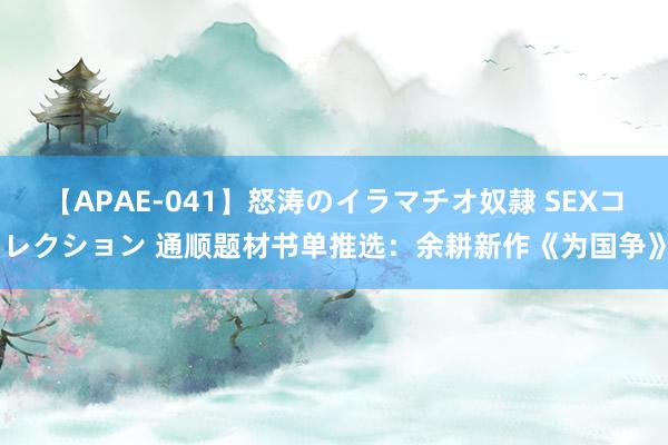 【APAE-041】怒涛のイラマチオ奴隷 SEXコレクション 通顺题材书单推选：余耕新作《为国争》