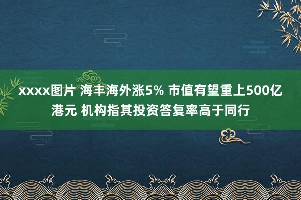 xxxx图片 海丰海外涨5% 市值有望重上500亿港元 机构指其投资答复率高于同行