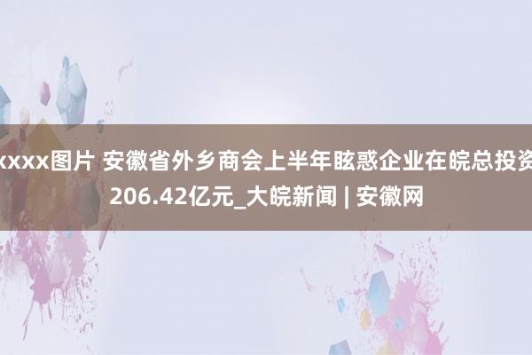 xxxx图片 安徽省外乡商会上半年眩惑企业在皖总投资206.42亿元_大皖新闻 | 安徽网