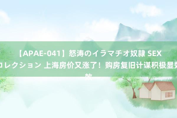 【APAE-041】怒涛のイラマチオ奴隷 SEXコレクション 上海房价又涨了！购房复旧计谋积极显效