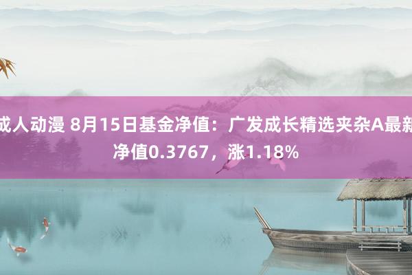 成人动漫 8月15日基金净值：广发成长精选夹杂A最新净值0.3767，涨1.18%