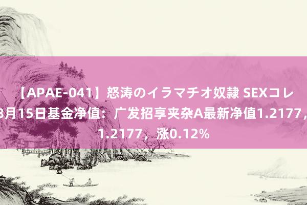 【APAE-041】怒涛のイラマチオ奴隷 SEXコレクション 8月15日基金净值：广发招享夹杂A最新净值1.2177，涨0.12%