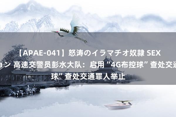 【APAE-041】怒涛のイラマチオ奴隷 SEXコレクション 高速交警员彭水大队：启用“4G布控球”查处交通罪人举止