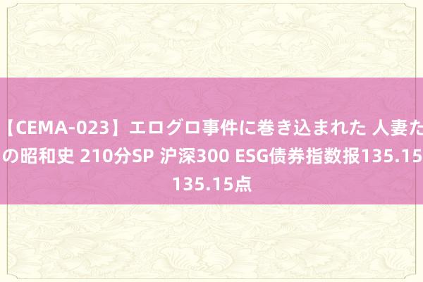 【CEMA-023】エログロ事件に巻き込まれた 人妻たちの昭和史 210分SP 沪深300 ESG债券指数报135.15点