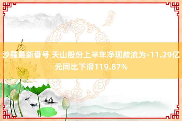 沙羅最新番号 天山股份上半年净现款流为-11.29亿元同比下滑119.87%