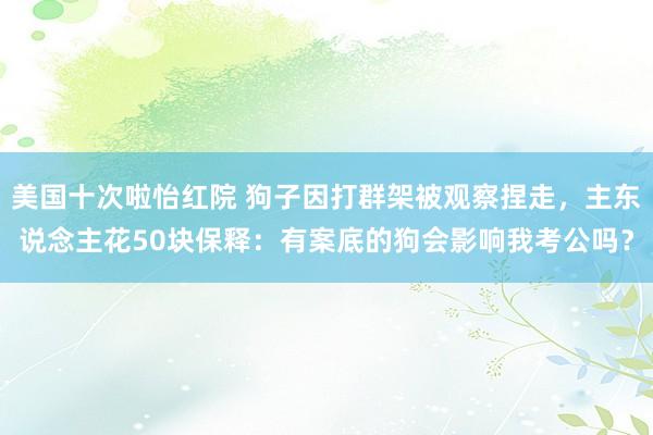 美国十次啦怡红院 狗子因打群架被观察捏走，主东说念主花50块保释：有案底的狗会影响我考公吗？