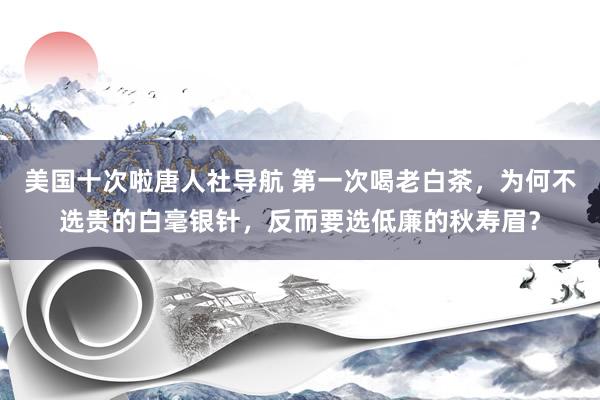 美国十次啦唐人社导航 第一次喝老白茶，为何不选贵的白毫银针，反而要选低廉的秋寿眉？