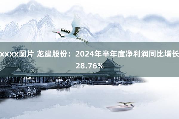 xxxx图片 龙建股份：2024年半年度净利润同比增长28.76%