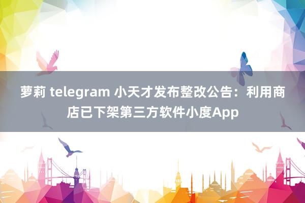 萝莉 telegram 小天才发布整改公告：利用商店已下架第三方软件小度App