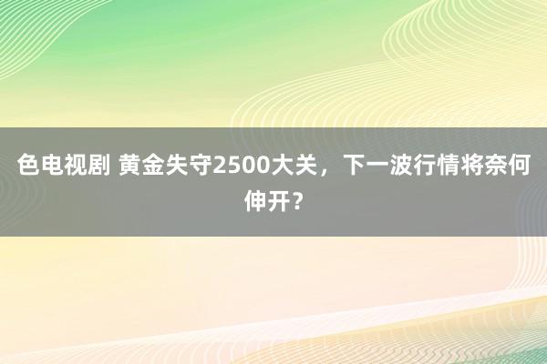 色电视剧 黄金失守2500大关，下一波行情将奈何伸开？