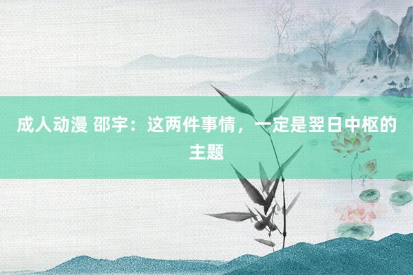 成人动漫 邵宇：这两件事情，一定是翌日中枢的主题