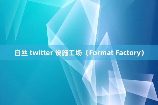 白丝 twitter 设施工场（Format Factory）