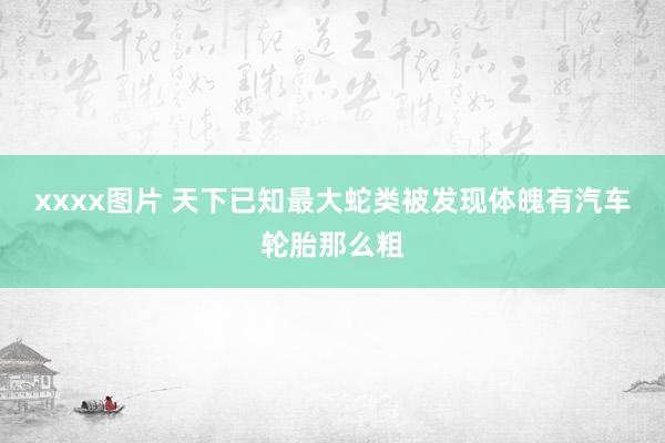 xxxx图片 天下已知最大蛇类被发现体魄有汽车轮胎那么粗