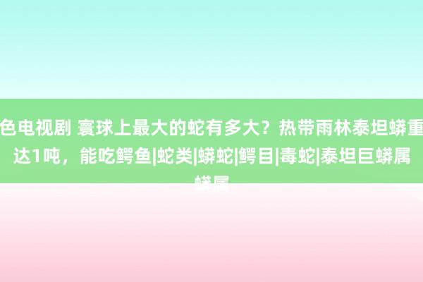 色电视剧 寰球上最大的蛇有多大？热带雨林泰坦蟒重达1吨，能吃鳄鱼|蛇类|蟒蛇|鳄目|毒蛇|泰坦巨蟒属